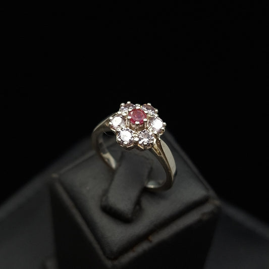 Ruby and Steel Zircon on Silver Ring